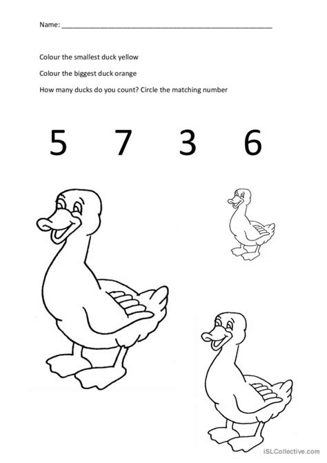 duck numeracy: English ESL worksheets pdf & doc