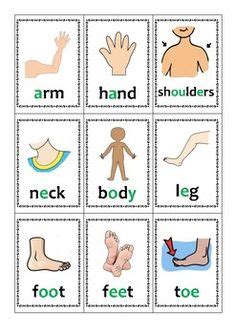 Parts of My Body Printable Flashcards. Preschool Health. | Printable ...