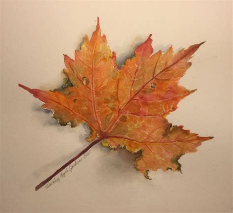 Maple leaf painted in watercolor by Shirley Apple Jenkins | Maple leaf ...