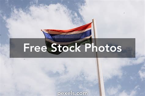 Gambian Flag Photos, Download The BEST Free Gambian Flag Stock Photos & HD Images