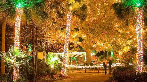 Help Riverbanks Zoo win ‘Best Zoo Lights’ in national contest