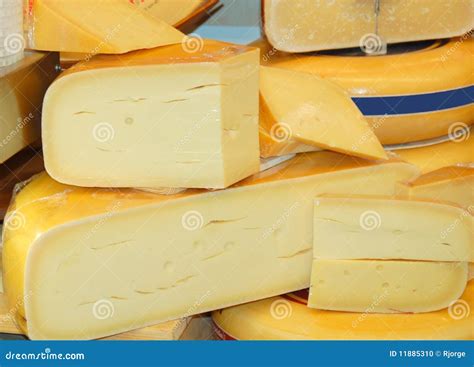 Dutch cheese stock photo. Image of gourmet, round, yellow - 11885310