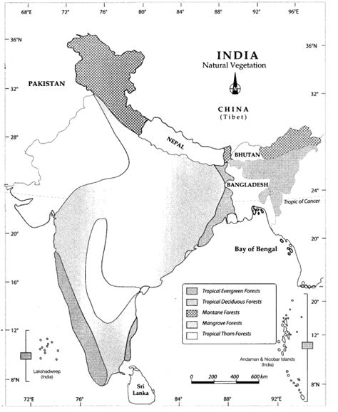 CBSE NCERT Notes For Class 9 Geography Chapter 5 Natural Vegetation and ...