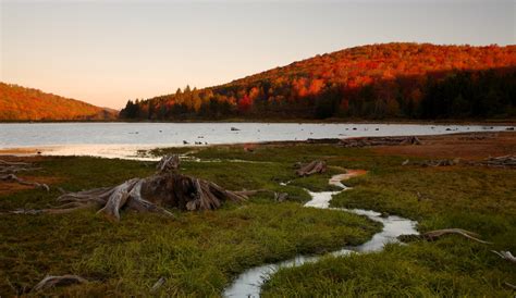 Spruce Knob Lake: Inlet stream | Dawn at Spruce Knob Lake. M… | Flickr