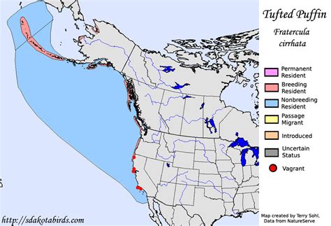 Tufted Puffin - Species Range Map