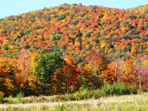 Blue Ridge Mountain Home: Fall Foliage