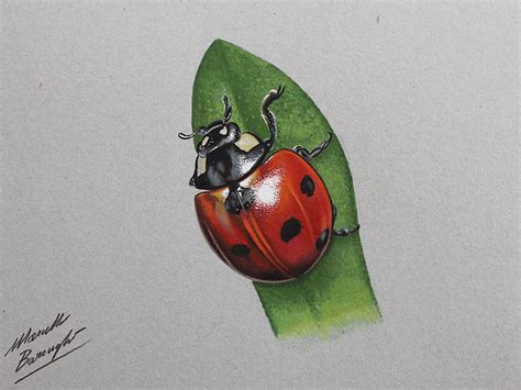 Easy Drawings Of Ladybugs Clip Art Library 57624 | The Best Porn Website