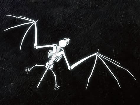 Bat Skeleton Illustration by Justin Allan-Spencer on Dribbble