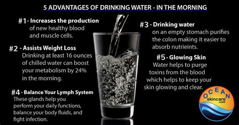 5 Advantages to Drinking Water in the Morning | SeaQuarius Skincare - SeaQuarius Skin & Beauty