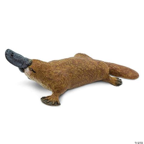 Safari Platypus Toy | Oriental Trading