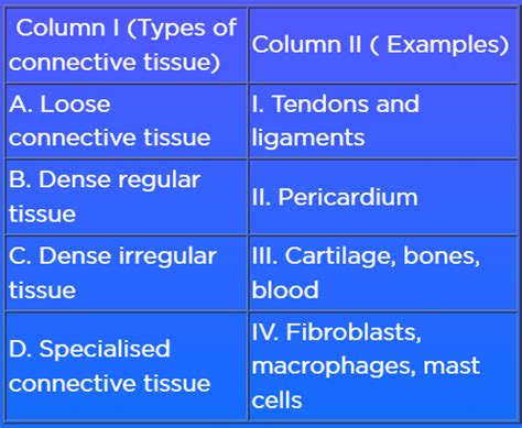 Match the types of connective tissue given in column I with their ...