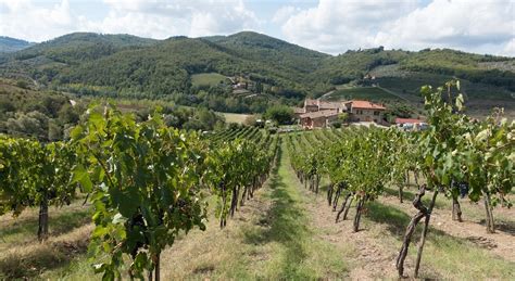 🍷 The 7 Best Chianti Wine Tours From Florence [2024 Reviews] | World Guides To Travel