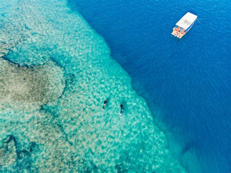 Foto De Vista Superior De Persona Nadando En El Mar · Foto de stock gratuita