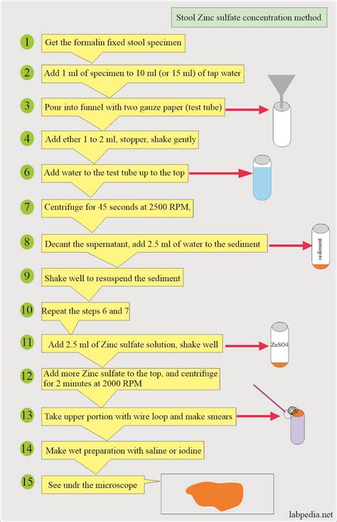 Stool Examination:- Part 2 - Stool Smear Preparation, Stains, Handling, and Preservatives ...