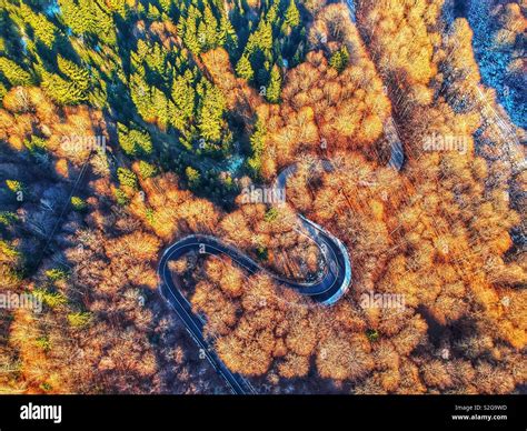 Aerial view of nature Stock Photo - Alamy