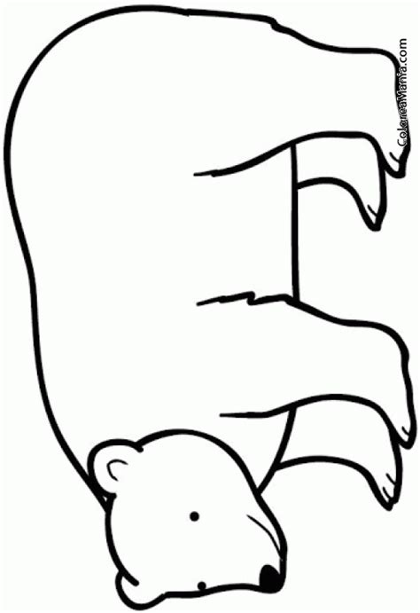 Colorear Oso polar 9 (Animales Polares), dibujo para colorear gratis