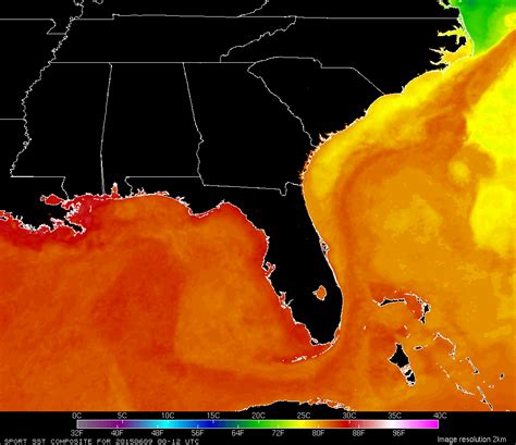 Gulf Of Mexico Sea Surface Temperature Map