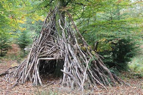 How To Build A Survival Shelter: 11 Simple Designs