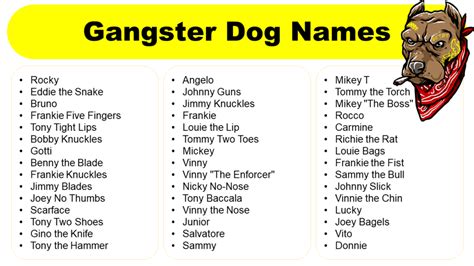 Gangster Dog Names for Your Furry Friend - Naming Ideas - GrammarVocab