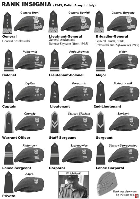 Rank insignia. Military Tactics, Military Ranks, Military Insignia ...