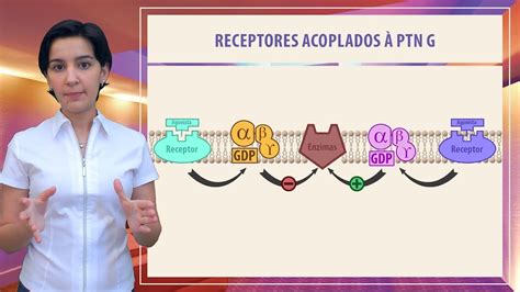 Farmacologia 02 - Aspectos moleculares dos fármacos (Parte 1) - YouTube