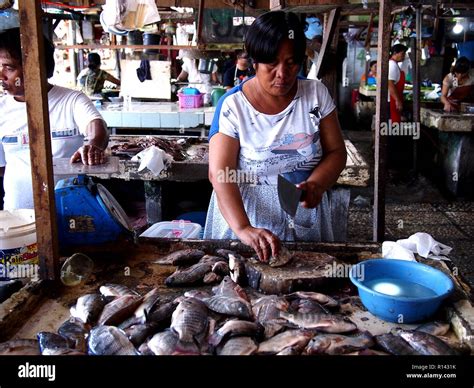 BINANGONAN, RIZAL, PHILIPPINES - NOVEMBER 8, 2018: A fish vendor sells fresh fishes at fish port ...