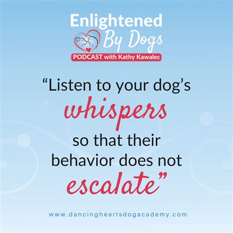 4 Reasons Why Your Dog Won’t Stop Barking - Dancing Hearts