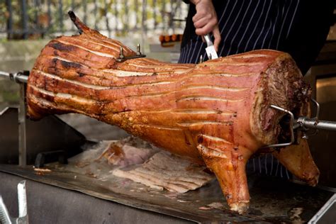 Plans For Homemade Bbq Rotisserie Pig | Awesome Home