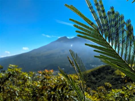 Premium Photo | A view of mount kilimanjaro from the top of a mountain
