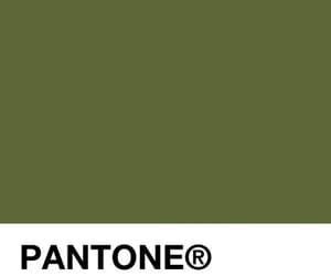 pantone green,olive green aesthetic, khaki green | Green aesthetic, Pantone green, Shades of green