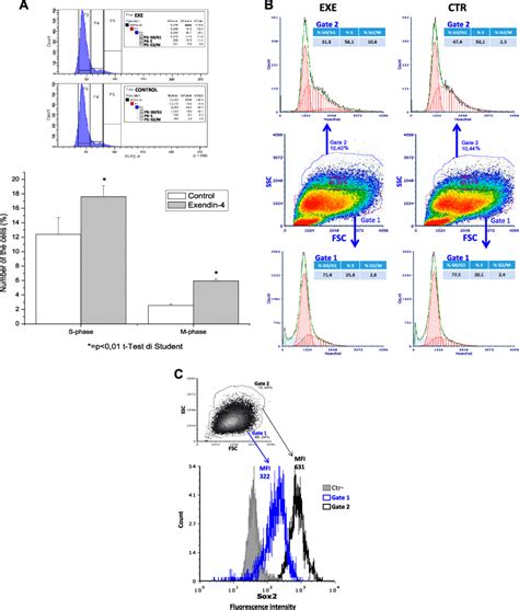 Effect of Exendin-4 on hMSC cell cycle. The effect of Exendin-4 on cell ...