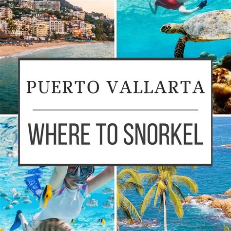 SNORKELING-PUERTO-VALLARTA - Backpacking Brunette