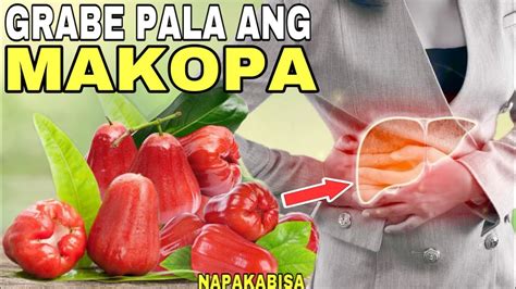 MAKOPA: 8 HEALTH BENEFITS & SIDE EFFECTS OF WAX APPLE FRUIT | Grabe ...