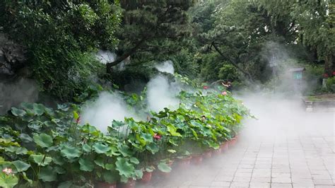 High Pressure Mist Mist System Garden Landscape High Pressure Spray Artificial Fog Environmental ...