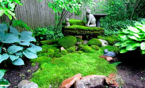 22 Japanese Moss Garden Design Ideas To Consider | SharonSable