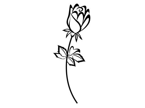 Flower Stem Drawing