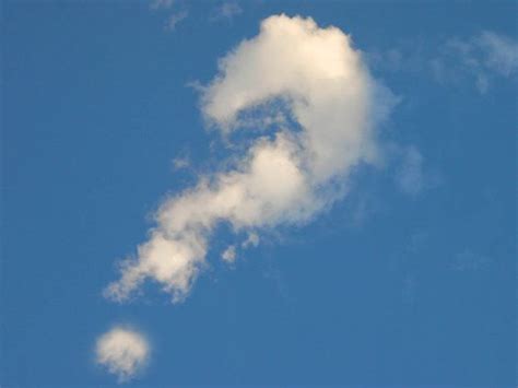 clouds shaped like animals | Cool Cloud Shapes | Funny Shaped Clouds ...