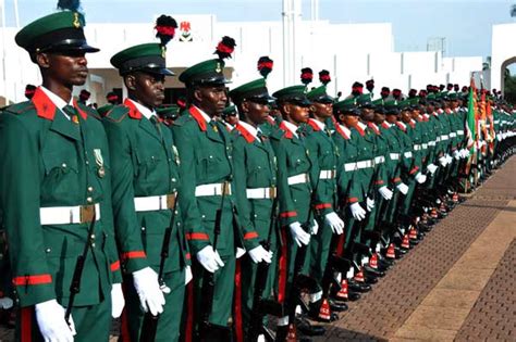 PowerLines: (PHOTOS) Nigeria@57: Special parade by Nigerian Army ...