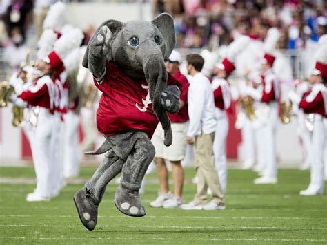 Alabama mascot Big Al before the Tennessee game at Bryant-Denny Stadium ...