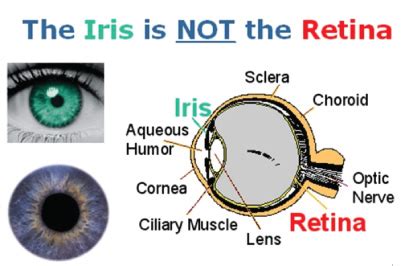 Iris Recognition vs Retinal Scanning – Is there A Difference?