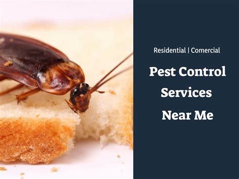 Find Best Pest Control Services Near Me #Best #pest #control #services ...