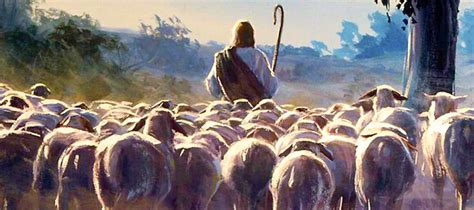 Why is Christ the Good Shepherd? - Caritas