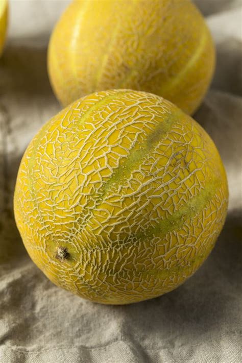 Raw Organic Lemon Drop Melon Stock Photo - Image of tropical, honey: 120139000