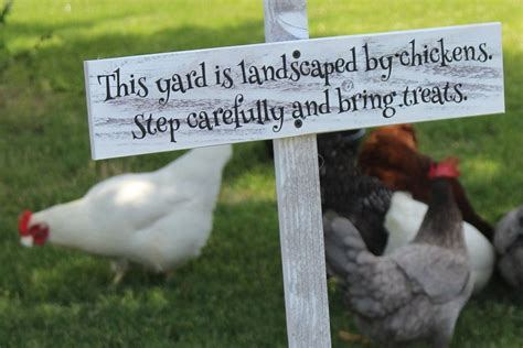 Chickens Farm Sign Yard Landscaped by Chickens Backyard | Etsy in 2021 ...