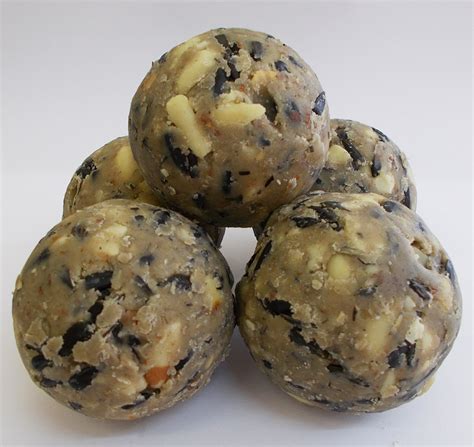 Twootz Signature Premium Suet Fat Balls for Wild Birds : Twootz.com