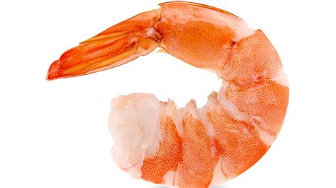 11 Types Of Shrimp Varieties From Around The World