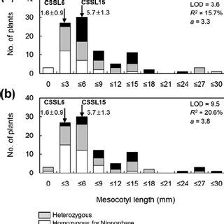 Frequency distribution of the mesocotyl length of 95 F 2 plants derived ...