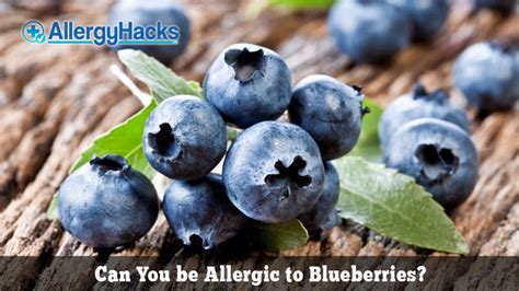 Can You be Allergic to Blueberries