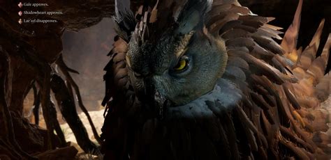 What To Do With Owlbear Egg In Baldur's Gate 3: Keep Or Sell?