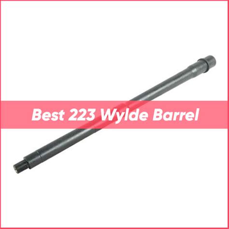 Best 223 Wylde Barrel 2024 | TOP 12 🎯 223 Wylde Barrels